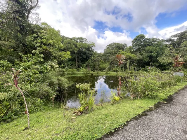Propiedad de 26 hectareas con canopy tour, caballos, dos casas y plataformas planas listas para construir casas
