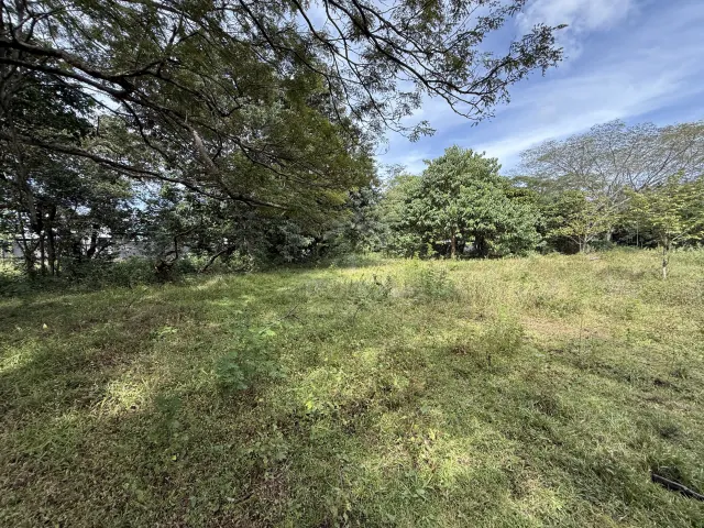 Lote en Villa Real cerca de Tamarindo plano