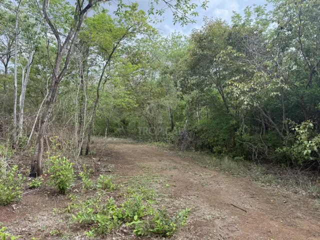 Mega Propiedad para Desarrollo Turístico y Residencial en Guanacaste | 380 hectáreas