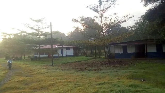 Finca ganadera para engorde y de palma de134 hectareas