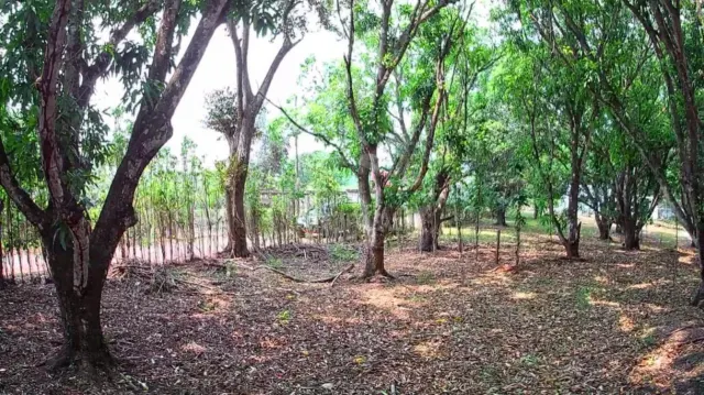 Lote Estratégico de 1.312 m² Frente a Ruta 27 – Orotina, Alajuela