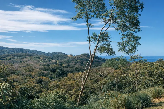 Lote con Vista al Mar en San Isidro sobre Malpaís