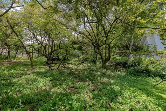 Venta de Lote Privado y Lujoso en Rio Oro, Santa Ana
