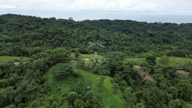 Lotes en Venta en Santiago: Tu Oportunidad de Inversión en Costa Rica