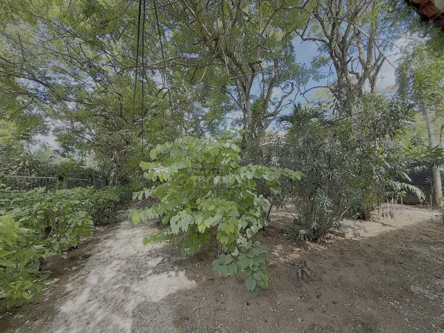 Casa Rústica Frente al Mar en Alquiler en Playa Grande, Guanacaste | Con Acceso Directo a la Playa