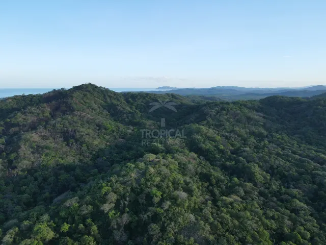 Santuario Natural en Venta Cerca de Playa Negra – Dos Lotes Titulados en Guanacaste