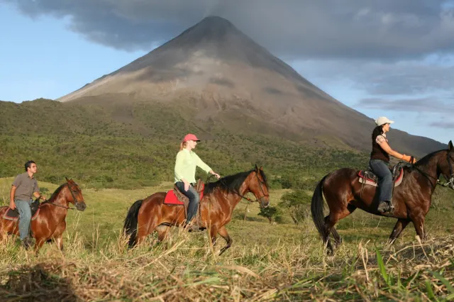Propiedad de 26 hectareas con canopy tour, caballos, dos casas y plataformas planas listas para construir casas