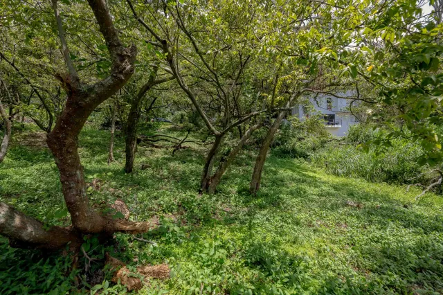 Venta de Lote Privado y Lujoso en Rio Oro, Santa Ana