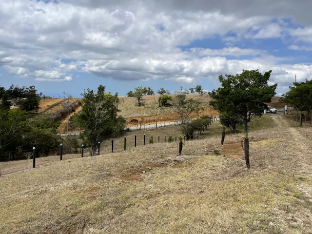 Lote en venta en San Ramon con 3100m2 de lote