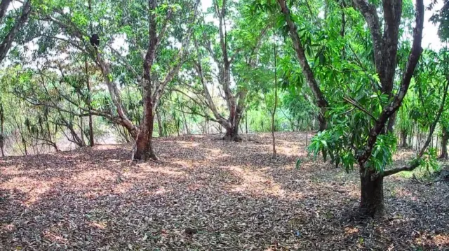 Lote Estratégico de 1.312 m² Frente a Ruta 27 – Orotina, Alajuela
