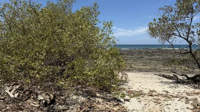 Lote en Venta Frente a Playa Lagartillo, Avellanas Guanacaste