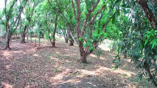 Lote Estratégico de 1.312 m² Frente a Ruta 27 – Orotina, Alajuela