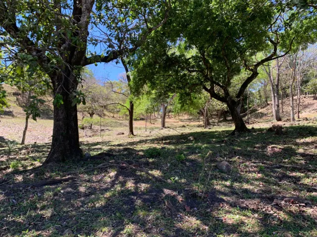 Finca en Venta en Turrúcares – Con Río, Piscinas y Alto Potencial Ecoturístico