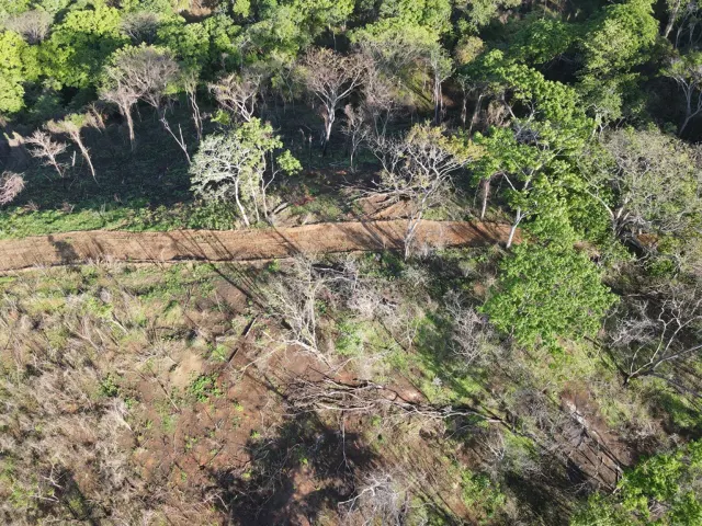 Santuario Natural en Venta Cerca de Playa Negra – Dos Lotes Titulados en Guanacaste