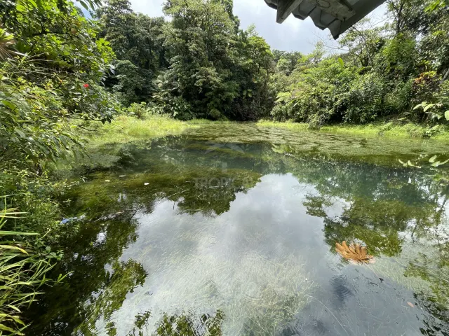 Propiedad de 26 hectareas con canopy tour, caballos, dos casas y plataformas planas listas para construir casas