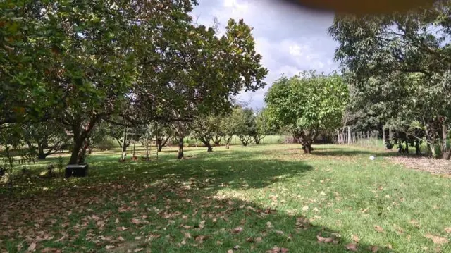 Quinta ideal para amantes de la naturaleza y caballos, cerca de playas