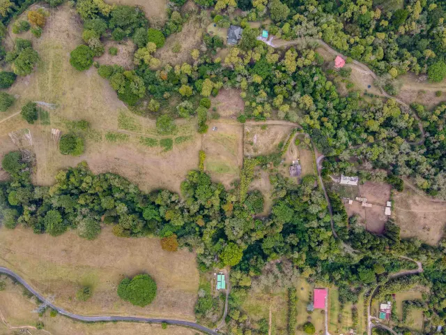 Vista cenital que muestra áreas con pasto, zonas de bosque denso y edificios dispersos conectados por caminos sinuosos.