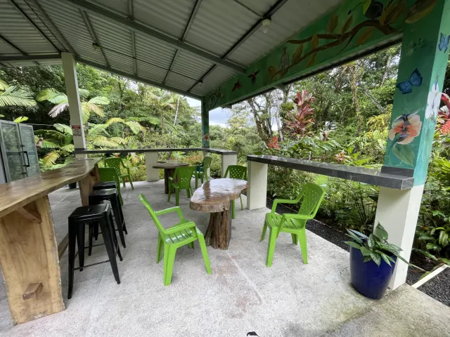 Propiedad de 26 hectareas con canopy tour, caballos, dos casas y plataformas planas listas para construir casas