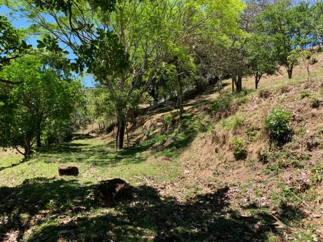 Finca en Venta en Turrúcares – Con Río, Piscinas y Alto Potencial Ecoturístico