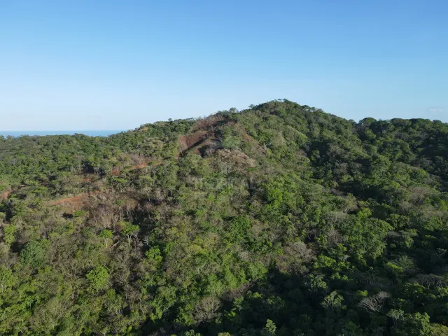 Santuario Natural en Venta Cerca de Playa Negra – Dos Lotes Titulados en Guanacaste
