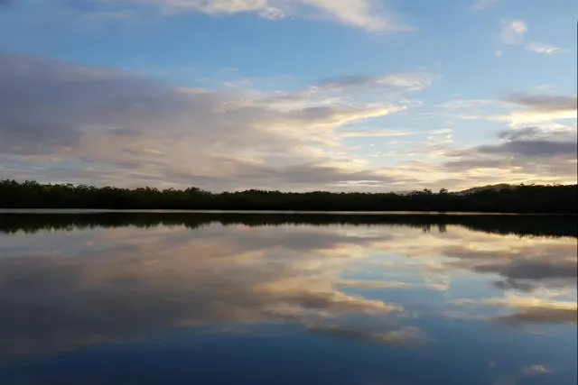 Isla en Venta en Sierpe, Osa – 259 Hectáreas de Naturaleza, Playas y Potencial de Desarrollo