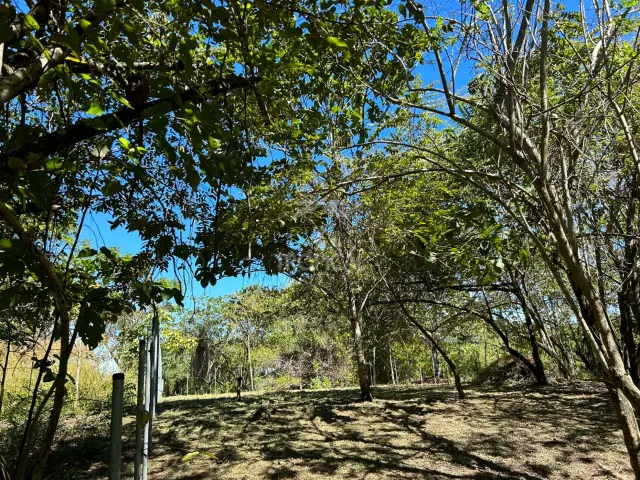 Lote en venta en Las Delicias de Cobano: Tu oasis costero en Costa Rica.