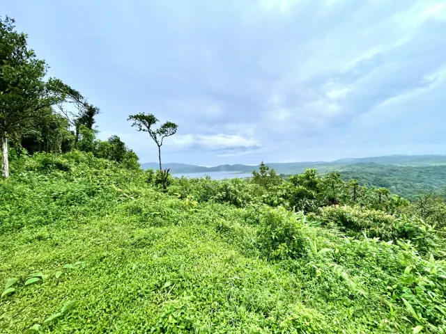 Propiedades lago arenal
