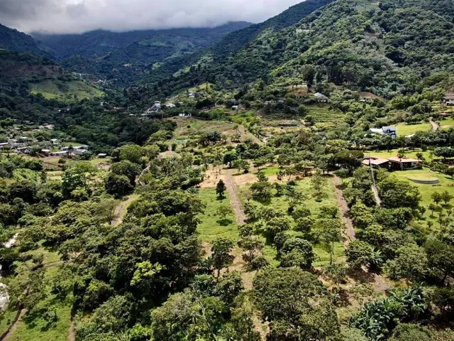 Finca de 7.2 hectareas en Santa Ana