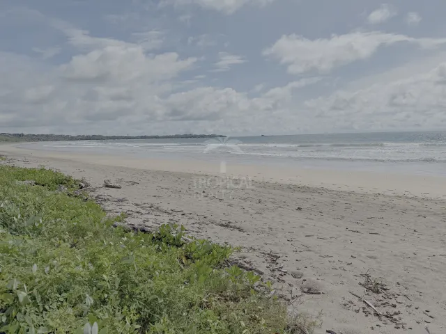 Casa Rústica Frente al Mar en Alquiler en Playa Grande, Guanacaste | Con Acceso Directo a la Playa