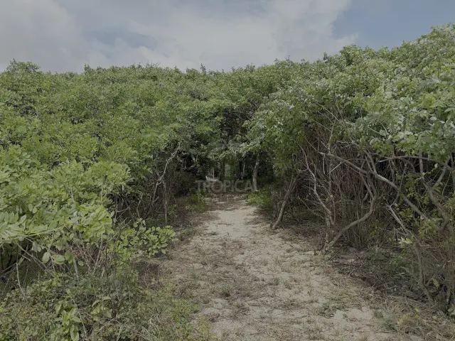 Casa Rústica Frente al Mar en Alquiler en Playa Grande, Guanacaste | Con Acceso Directo a la Playa