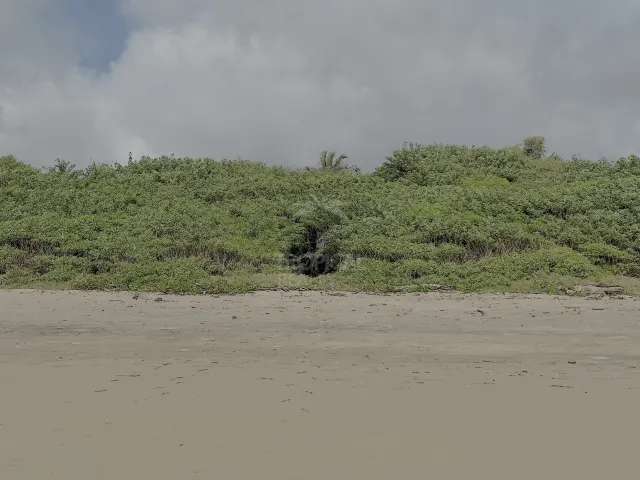 Casa Rústica Frente al Mar en Alquiler en Playa Grande, Guanacaste | Con Acceso Directo a la Playa