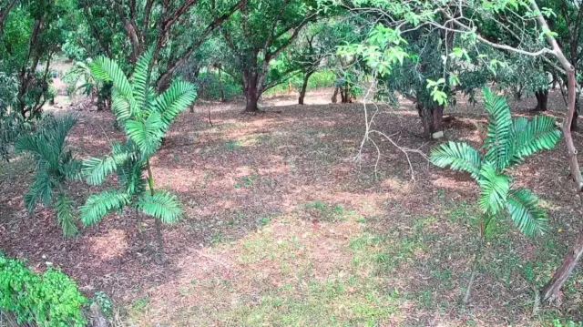 Lote Estratégico de 1.312 m² Frente a Ruta 27 – Orotina, Alajuela