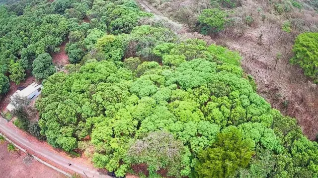 Lote Estratégico de 1.312 m² Frente a Ruta 27 – Orotina, Alajuela