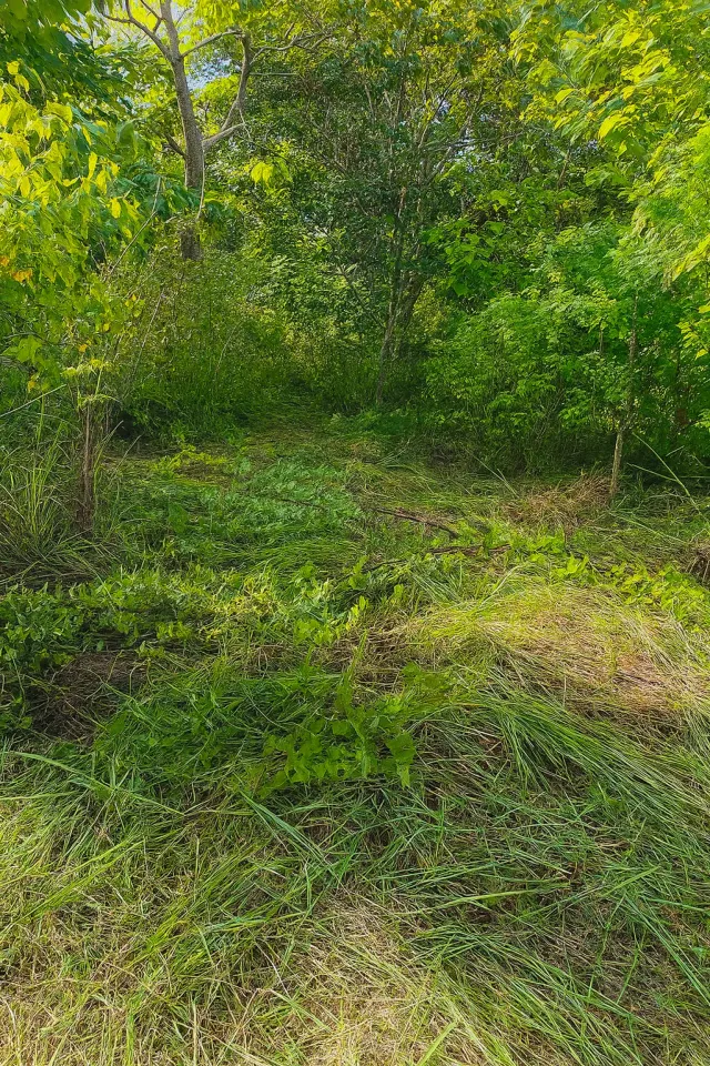 Terreno Exclusivo en Venta – Playa Marbella, Guanacaste, Costa Rica