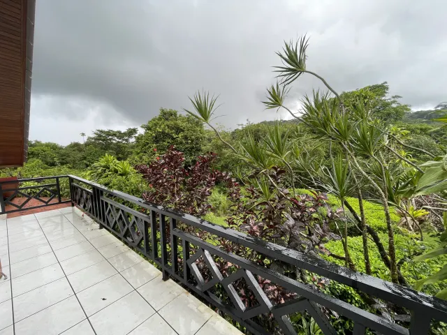 Propiedad de 26 hectareas con canopy tour, caballos, dos casas y plataformas planas listas para construir casas