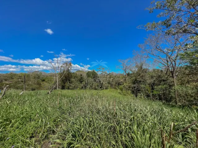 Un terreno abierto cubierto de pasto bordeado por árboles y arbustos bajo un cielo azul brillante con nubes dispersas.