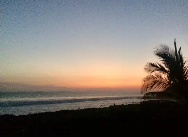 Vista del mar al atardecer con olas rompiendo en la orilla y la silueta de una palmera en el lado derecho.