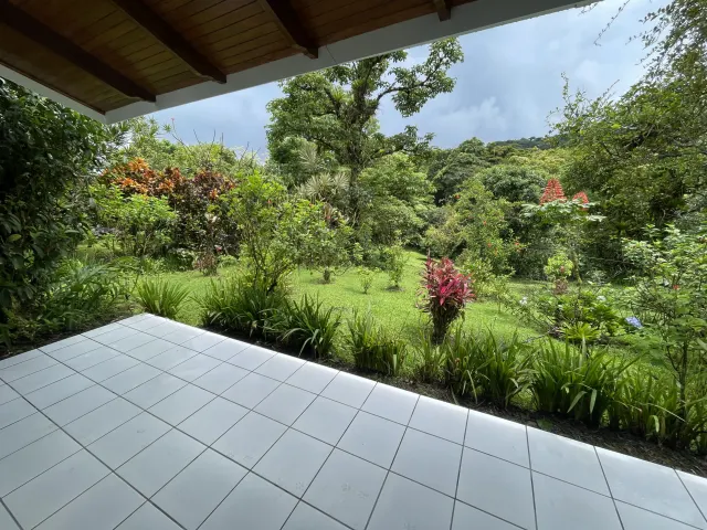 Propiedad de 26 hectareas con canopy tour, caballos, dos casas y plataformas planas listas para construir casas