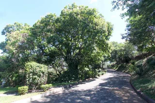 Residencia de Lujo en La Guácima con Bosque Privado y Vistas Panorámicas