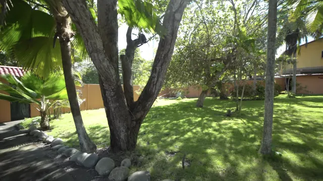 Casa frente a playa en venta con cabaña