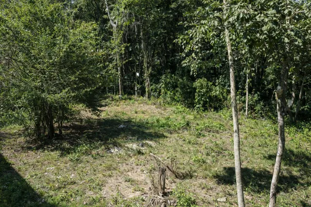 Lote en Venta en Santa Teresa – Naturaleza y Exclusividad