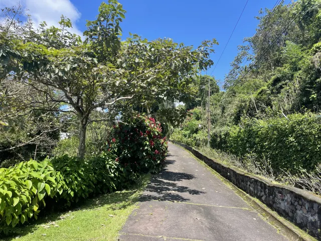 Santa Ana Piedades casa de una planta con 10.763m2