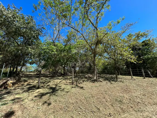 Lote en venta en Las Delicias de Cobano: Tu oasis costero en Costa Rica.