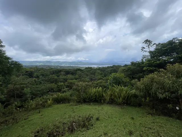 Propiedad de 26 hectareas con canopy tour, caballos, dos casas y plataformas planas listas para construir casas