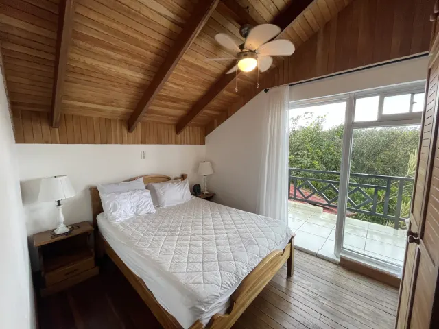 Propiedad de 26 hectareas con canopy tour, caballos, dos casas y plataformas planas listas para construir casas
