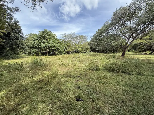 Lote en Villa Real cerca de Tamarindo plano