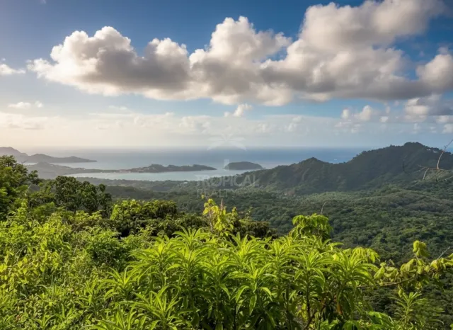 Finca de 19.5 Hectáreas con Vistas Panorámicas al Mar en Guanacaste