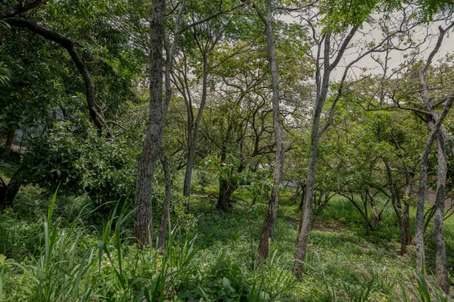 Venta de Lote Privado y Lujoso en Rio Oro, Santa Ana