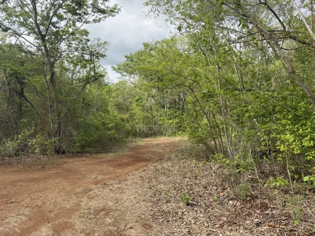 Mega Propiedad para Desarrollo Turístico y Residencial en Guanacaste | 380 hectáreas