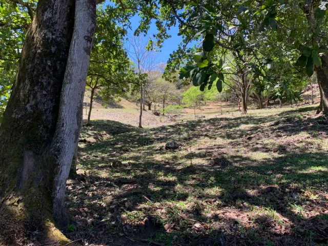 Finca en Venta en Turrúcares – Con Río, Piscinas y Alto Potencial Ecoturístico